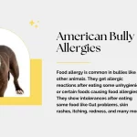 American Bully Food Allergies