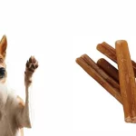 Are Bully Sticks Digestible For Dogs?