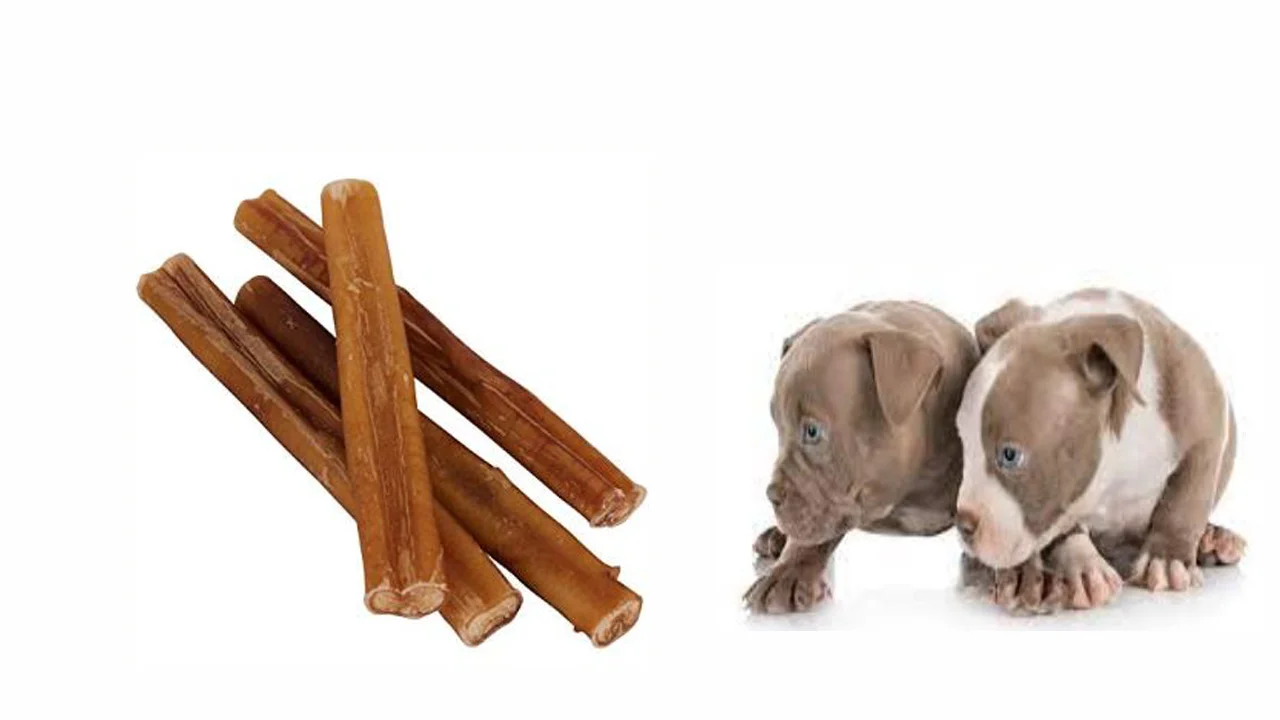 What Are Bully Sticks Made of